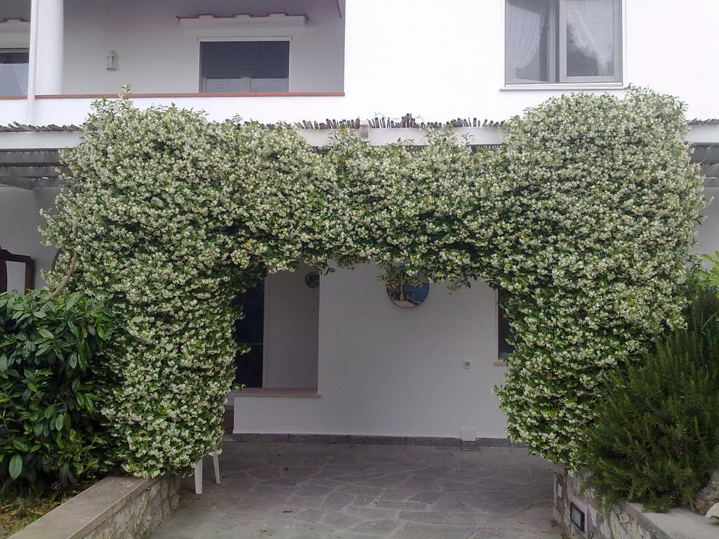 Il Merlo Anacapri  Ngoại thất bức ảnh